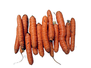 wortelen